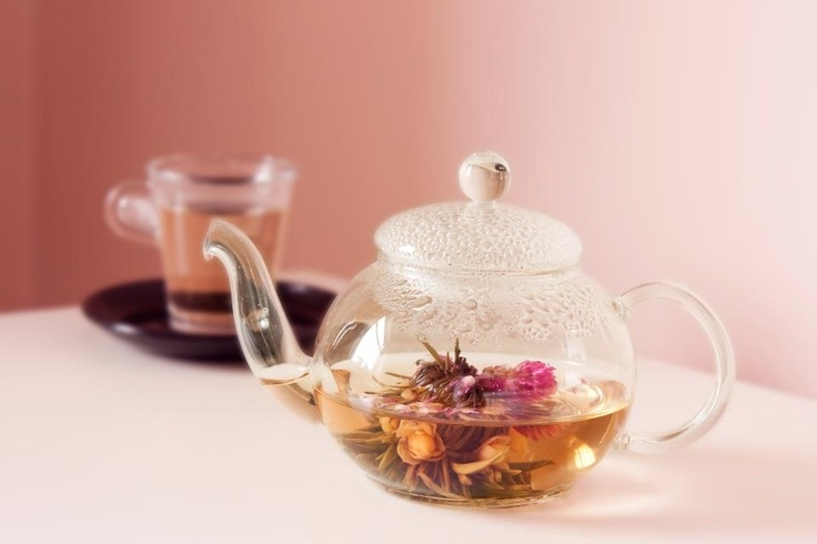 Thưởng trà hoa - thú vui tao nhã tốt cho sức khỏe