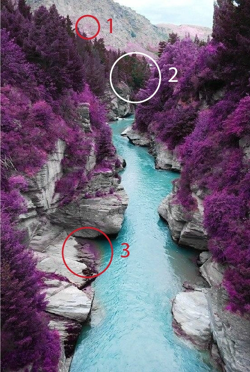11 bức ảnh