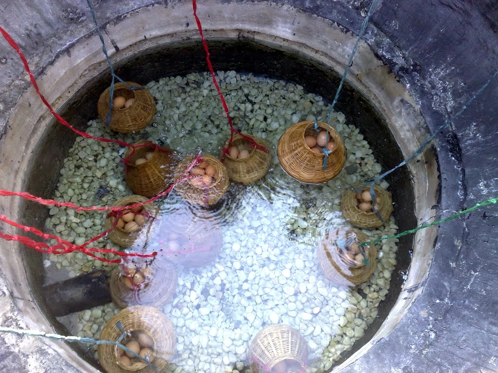 5 điểm du hí ít người biết ở Vũng Tàu