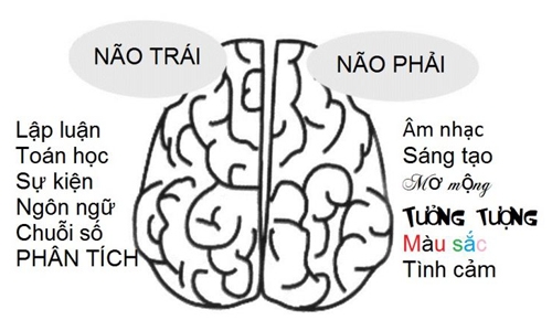 Bestie ban cau nao
