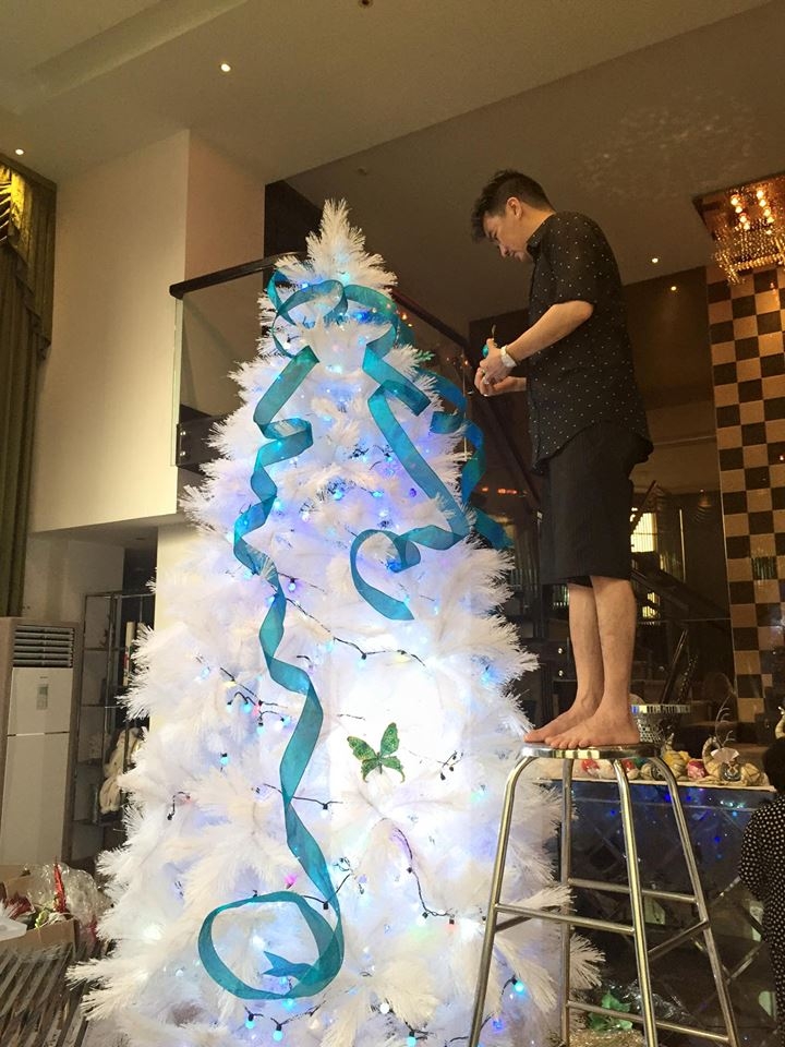 Đàm Vĩnh Hưng mở cửa tư gia cho khán giả tham quan và chụp hình Noel