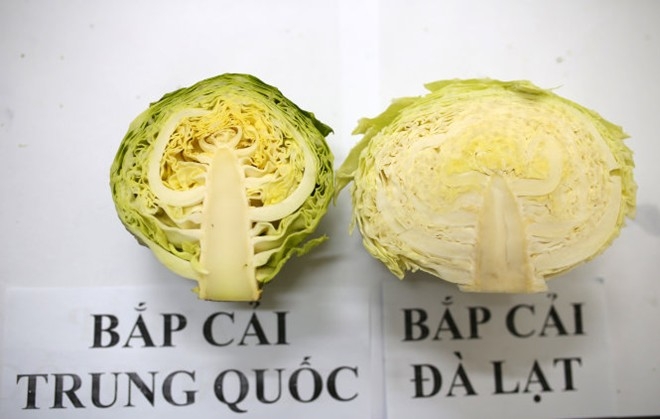 Bestie bap cai