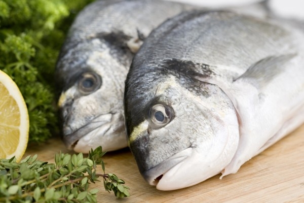 Bestie ca omega 3