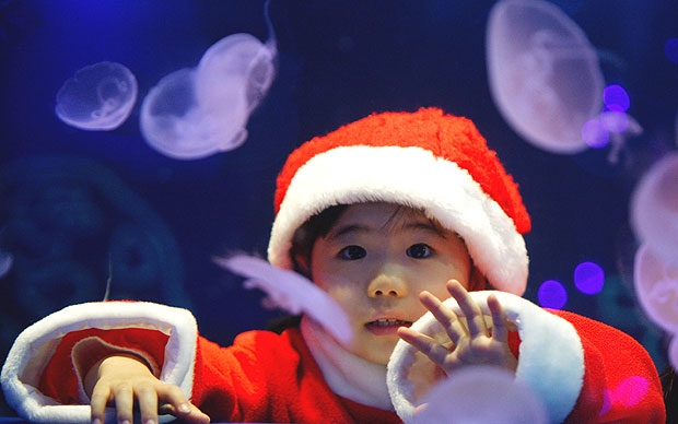 phong tục noel