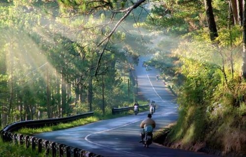 Được đầu tư tới 40 tỷ đồng, Festival Hoa Đà Lạt 2015 có gì đặc sắc?