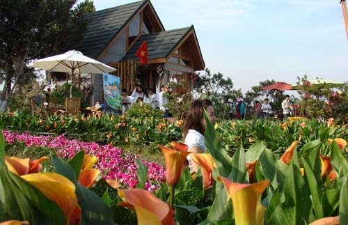 Được đầu tư tới 40 tỷ đồng, Festival Hoa Đà Lạt 2015 có gì đặc sắc?