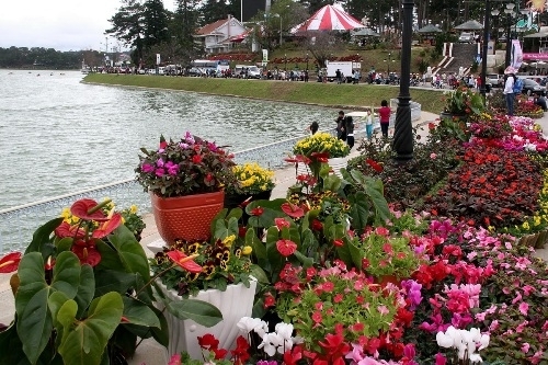 Được đầu tư tới 40 tỷ đồng, Festival Hoa Đà Lạt 2015 có gì đặc sắc?