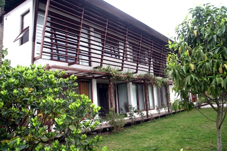 Ngất ngây trước những khu vườn đẹp mê ly của sao Việt