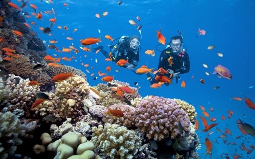 Những trò chơi cảm giác mạnh không thể bỏ qua khi du hí Nha Trang