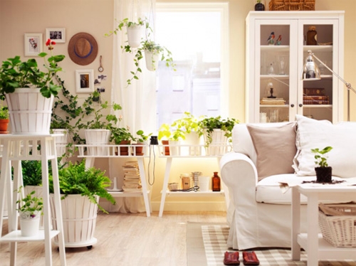 Muốn túi tiền rủng rỉnh cả năm, hãy nhớ 9 mẹo trang trí này