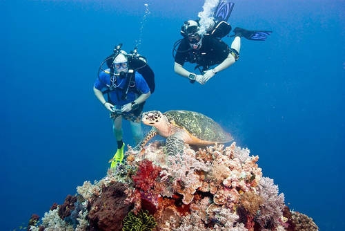 Thiên đường Palawan và những điều chưa kể