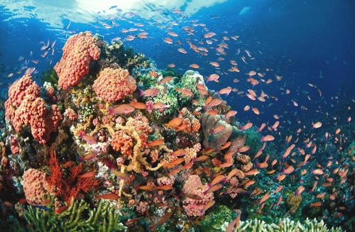 Thiên đường Palawan và những điều chưa kể