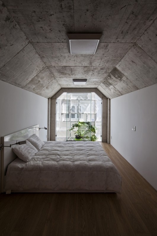 Nhà ống 30m2 ở Sài Gòn trồng cây trên mái đẹp miễn chê