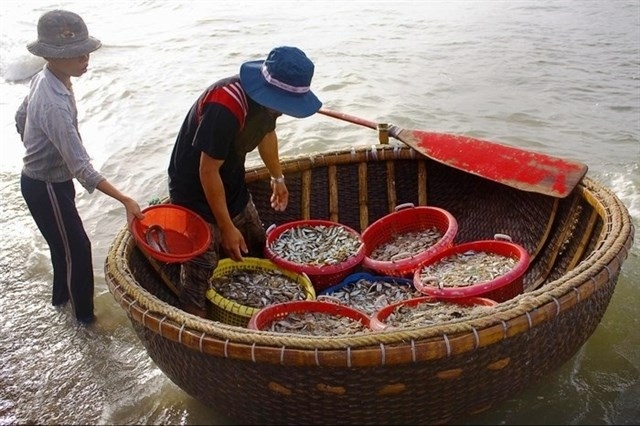 Khám phá Suối Ồ - bãi biển sạch bong ở Vũng Tàu ít người biết
