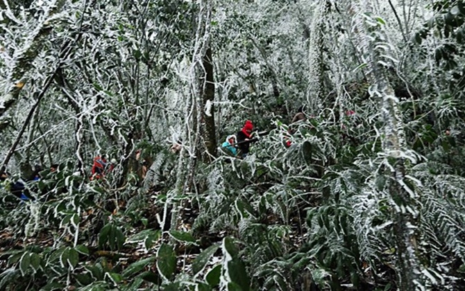 Những địa điểm