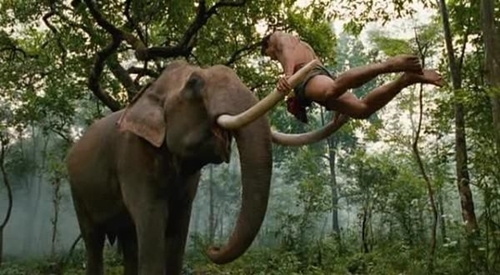 Bất ngờ Johnny Trí Nguyễn tham gia đóng phim hành động Thái Lan