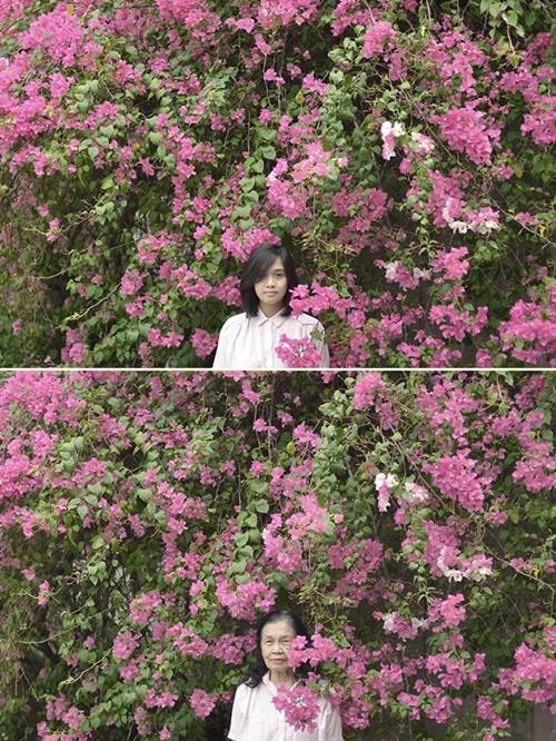 Bộ ảnh