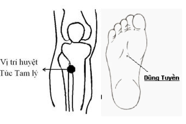 Thực hư bài thuốc Nam chỉ đắp chân là... khỏi tai biến suốt đời