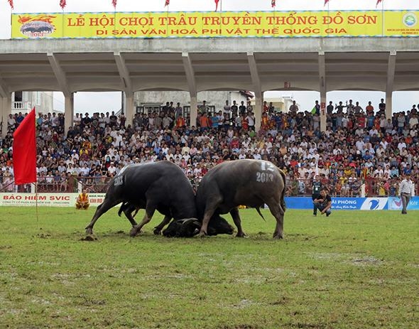 4 lễ hội kinh dị nhất Việt Nam khiến du khách