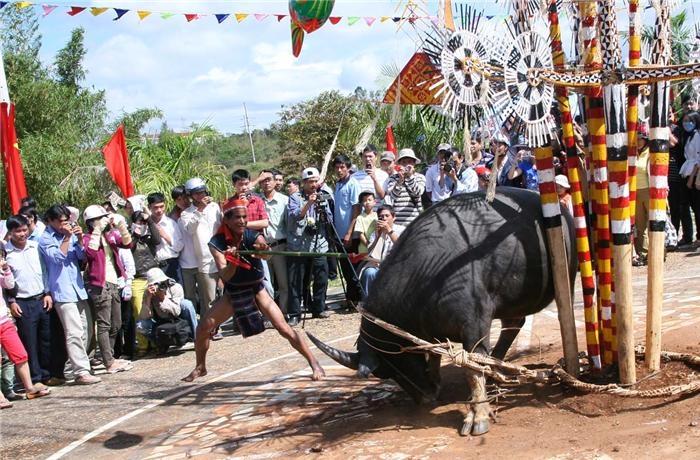 4 lễ hội kinh dị nhất Việt Nam khiến du khách