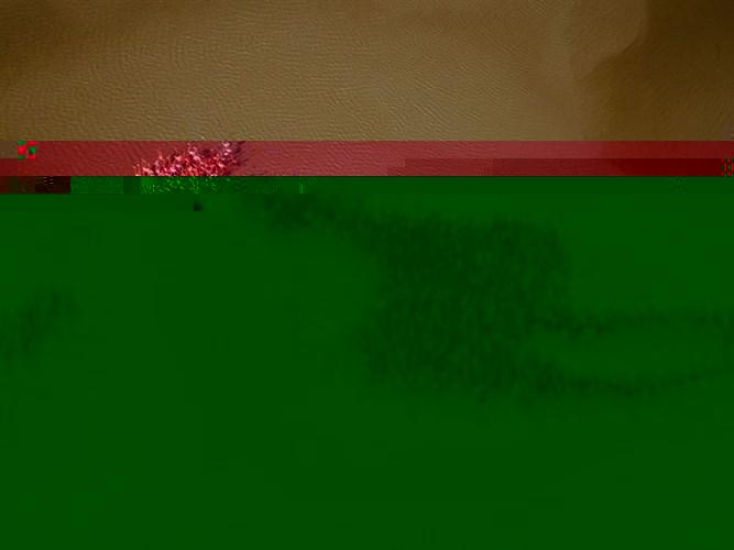 Những hình ảnh thật nhìn y chang... Photoshop