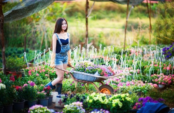 5 nghề ít vốn nhưng thu lãi