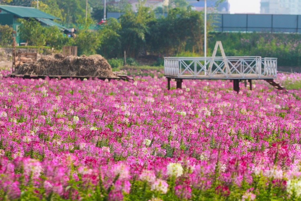 Những điểm chụp ảnh
