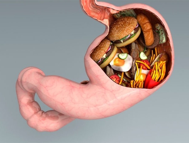 Bestie cholesterol