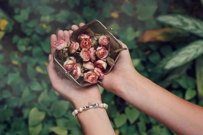 Dù yêu hay không yêu, chúng ta cũng đều phải sống