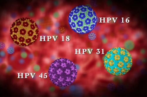 Bestie virus HPV
