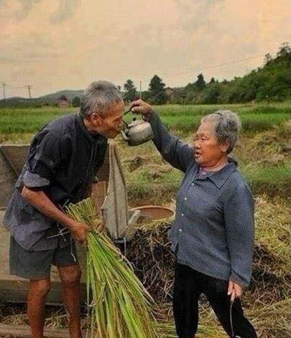 Hạnh phúc bình dị của những mái đầu bạc khiến ai cũng nghẹn ngào