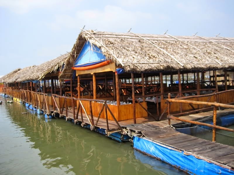 Tung hoành ở vương quốc hàu cách Sài Gòn 100km