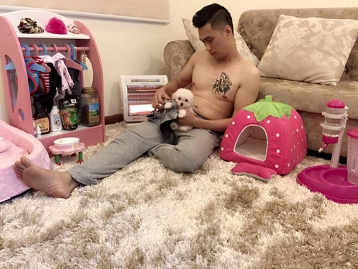 Cuộc sống sang chảnh của thú cưng nhà sao Việt