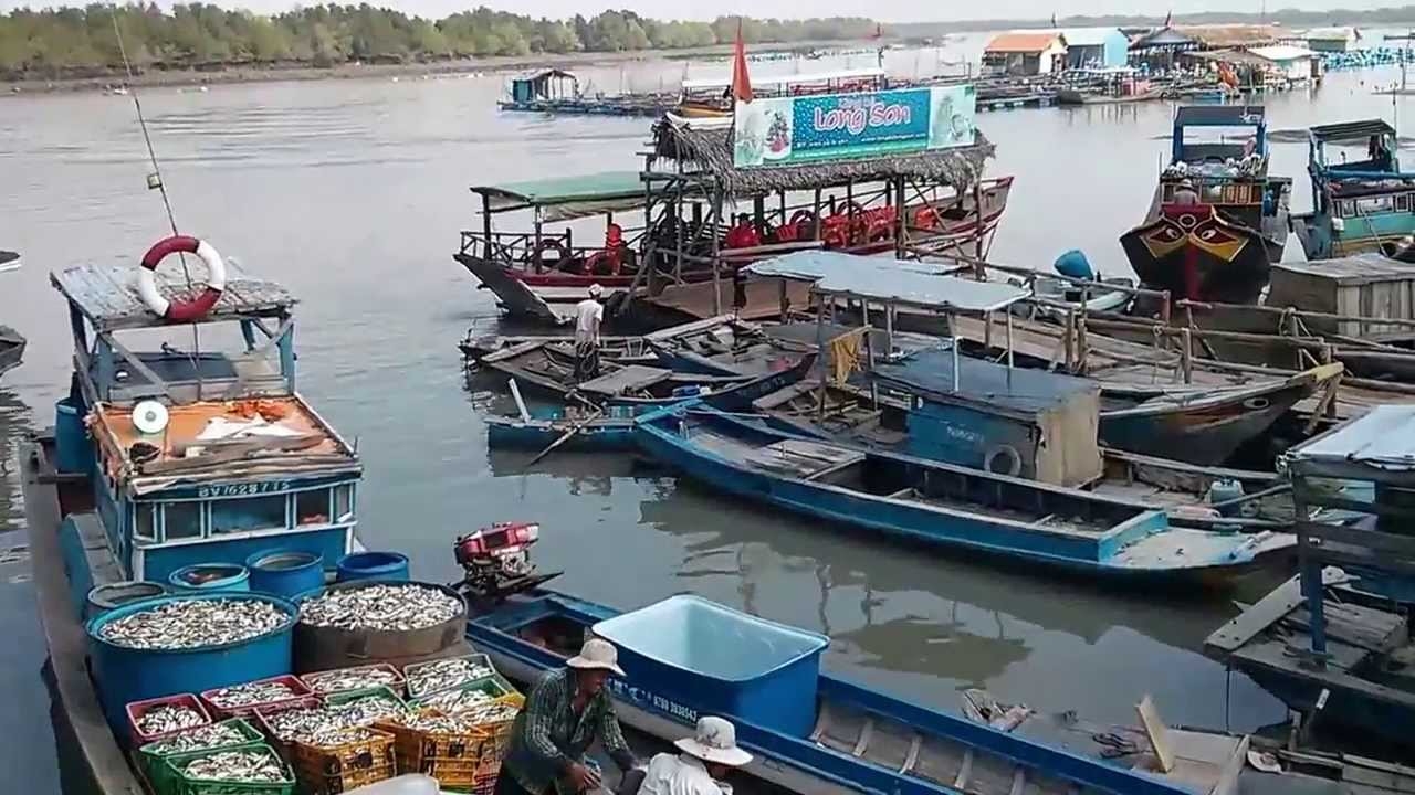 Tung hoành ở vương quốc hàu cách Sài Gòn 100km