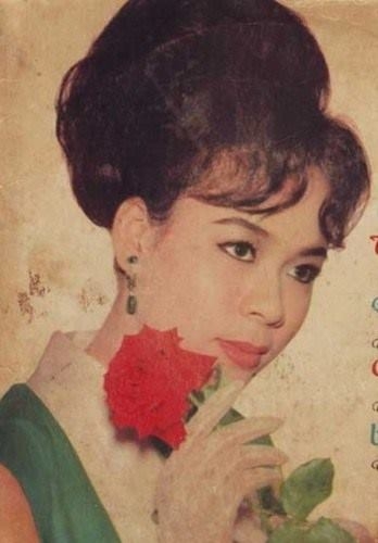 8 mỹ nhân đình đám một thời của làng giải trí Việt