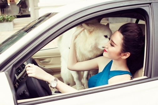 Cuộc sống sang chảnh của thú cưng nhà sao Việt