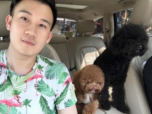 Cuộc sống sang chảnh của thú cưng nhà sao Việt