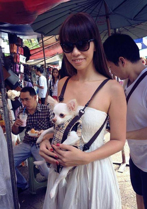 Cuộc sống sang chảnh của thú cưng nhà sao Việt