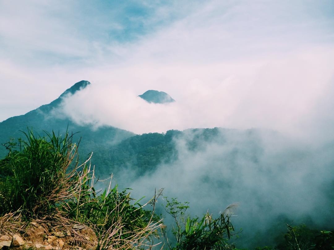 Nếu ngán cảnh