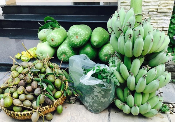 Việt Trinh tìm thấy hạnh phúc trong ngôi nhà rợp rau, trái
