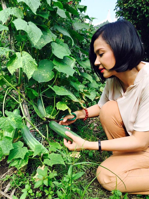Việt Trinh tìm thấy hạnh phúc trong ngôi nhà rợp rau, trái