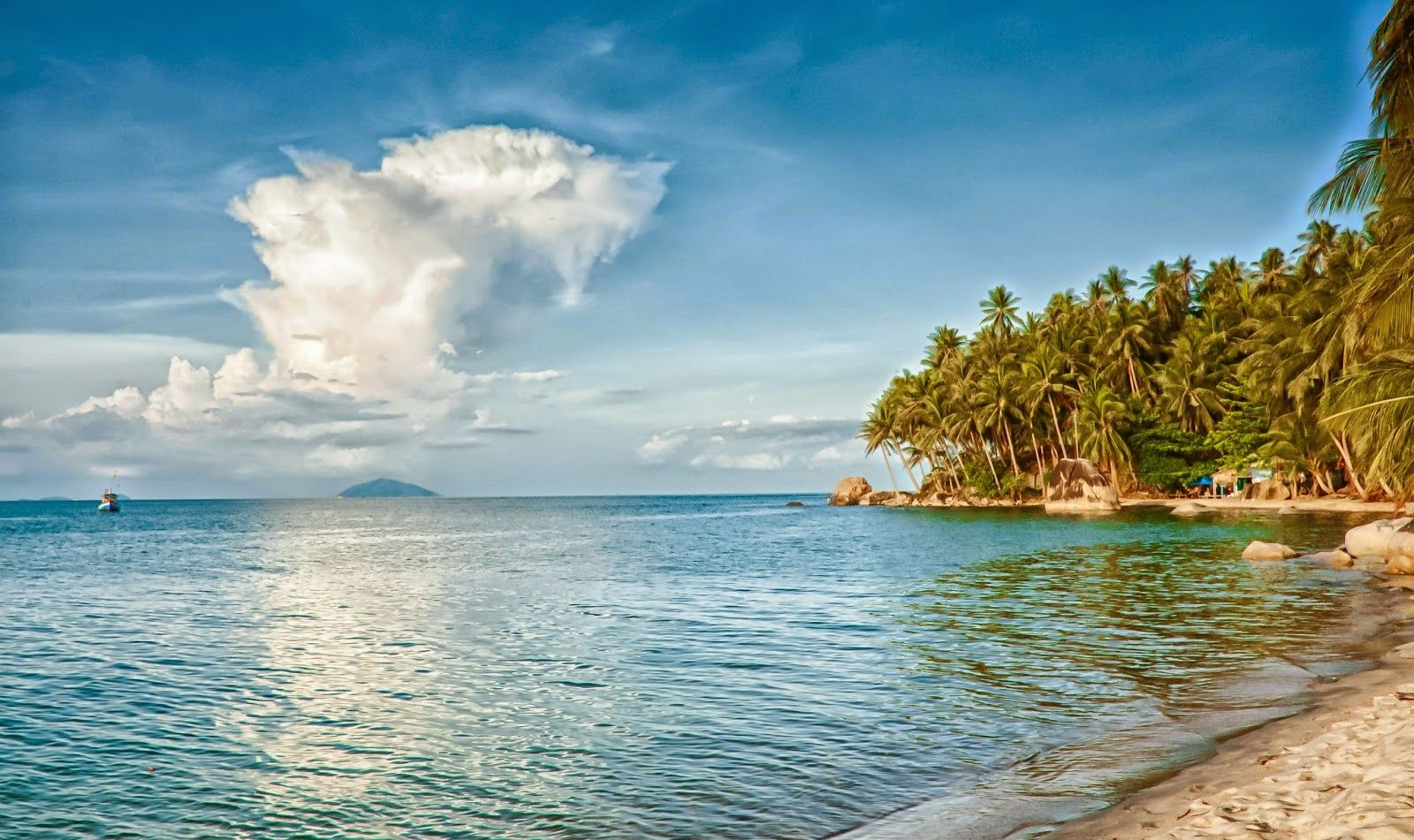 Nếu ngán cảnh