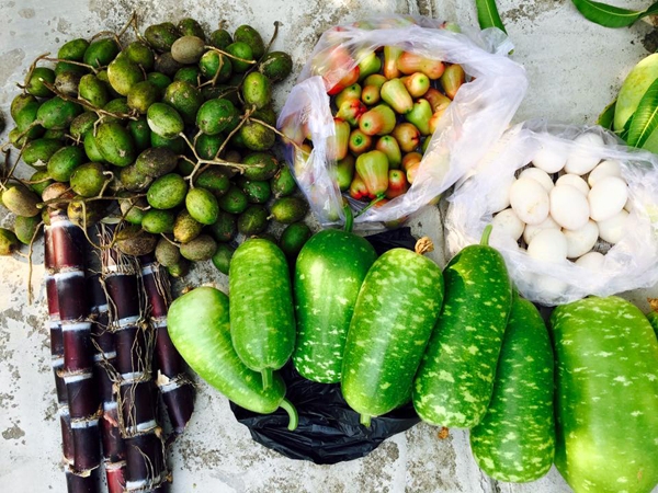 Việt Trinh tìm thấy hạnh phúc trong ngôi nhà rợp rau, trái