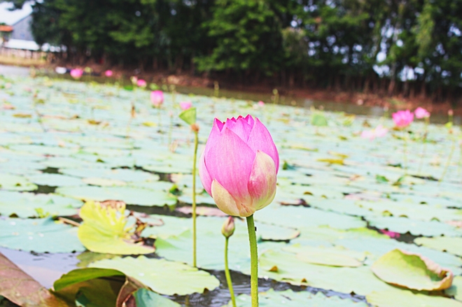 7 thắng cảnh có tên lạ hút du khách của Việt Nam