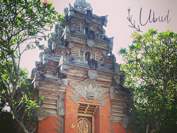 Chàng cơ trưởng điển trai khiến giới trẻ