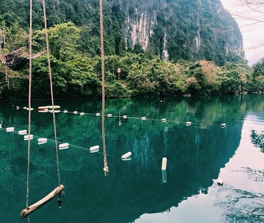 Nếu ngán cảnh