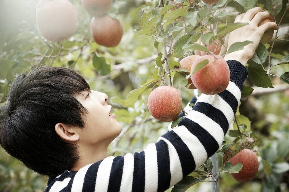 Căn nhà của bố mẹ Song Joong Ki được fan cuồng
