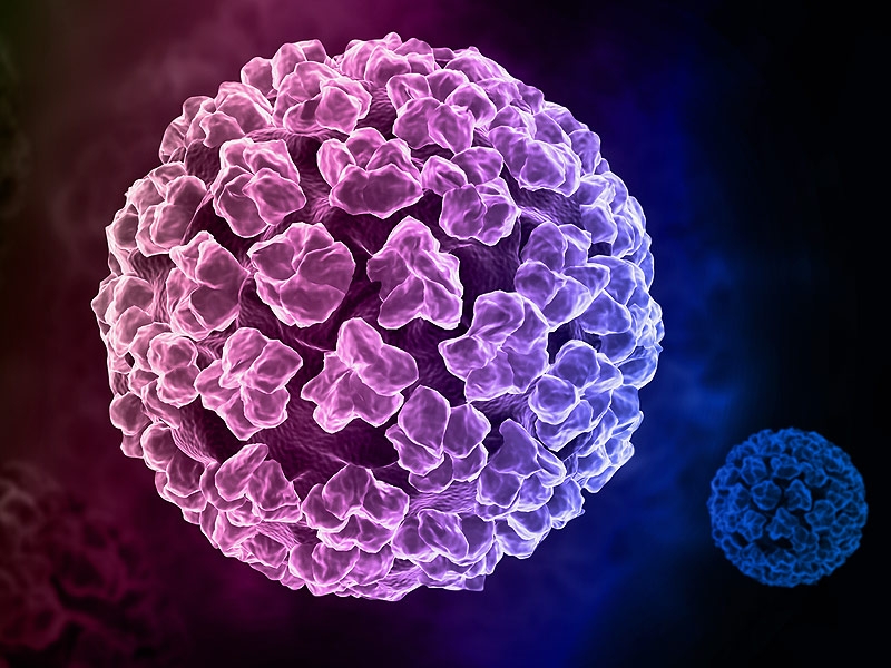 Bestie virus HPV