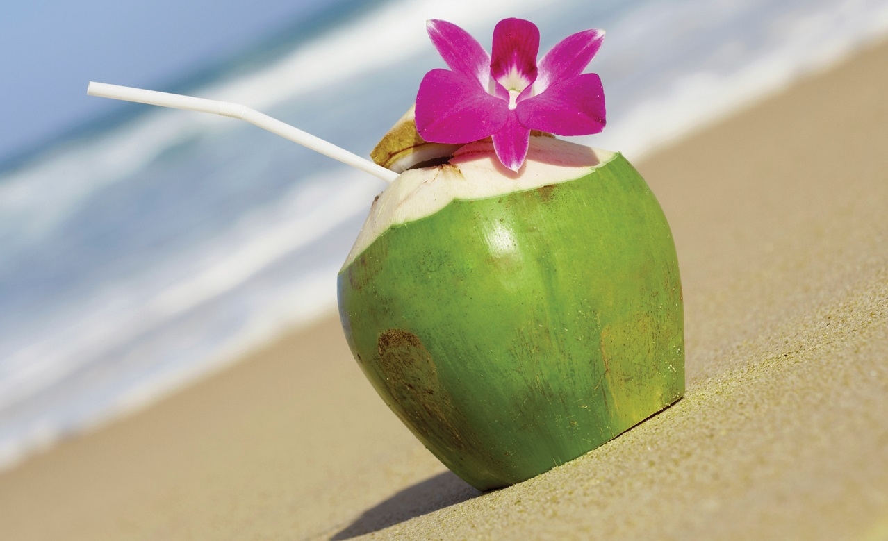 bestie phan biet trai cay 6