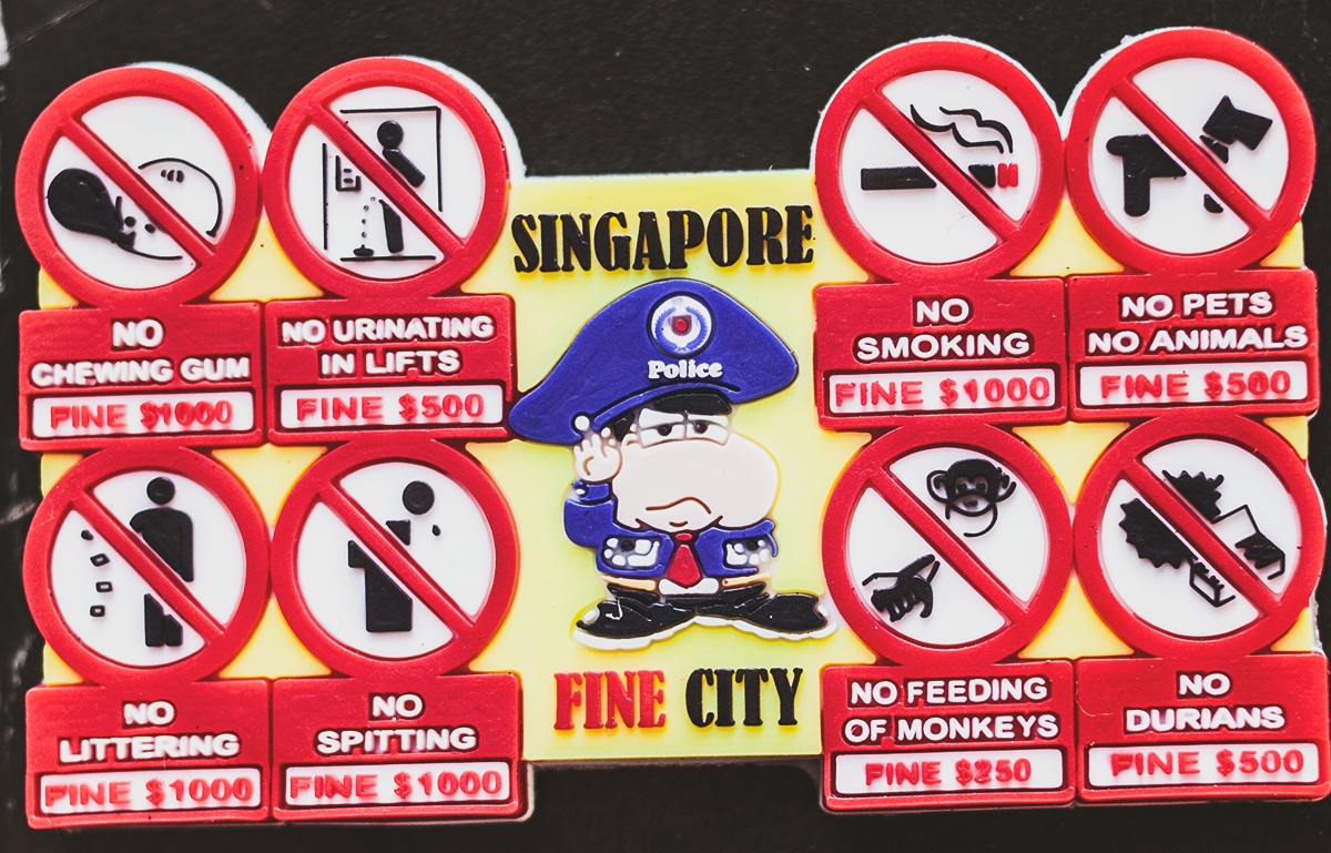 bestie 10 dieu chi co o Singapore 7